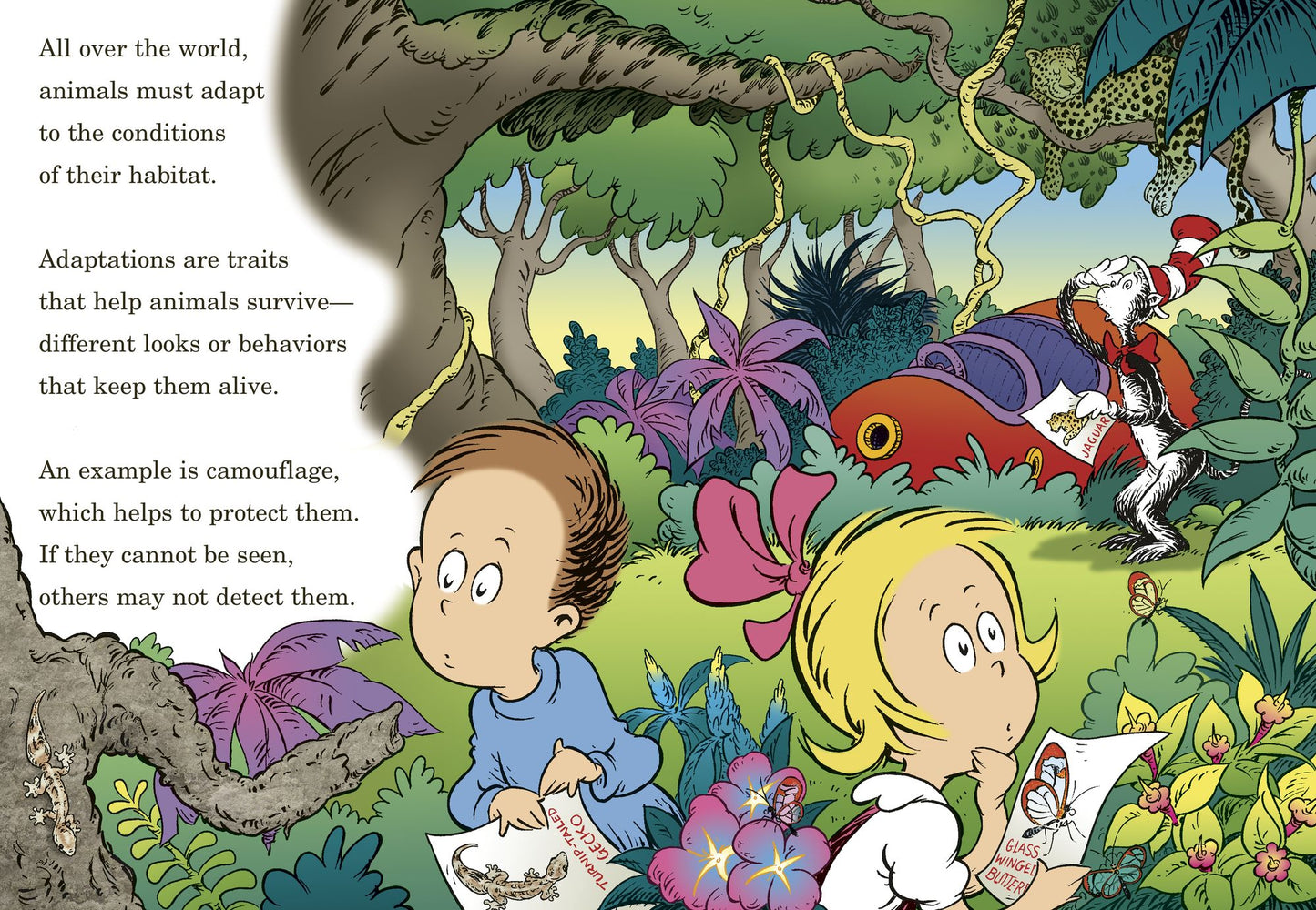 High? Low? Where Did It Go?: All About Animal Camouflage