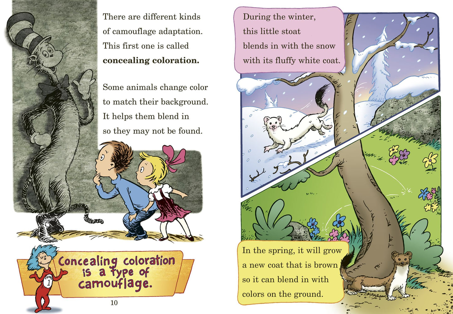 High? Low? Where Did It Go?: All About Animal Camouflage