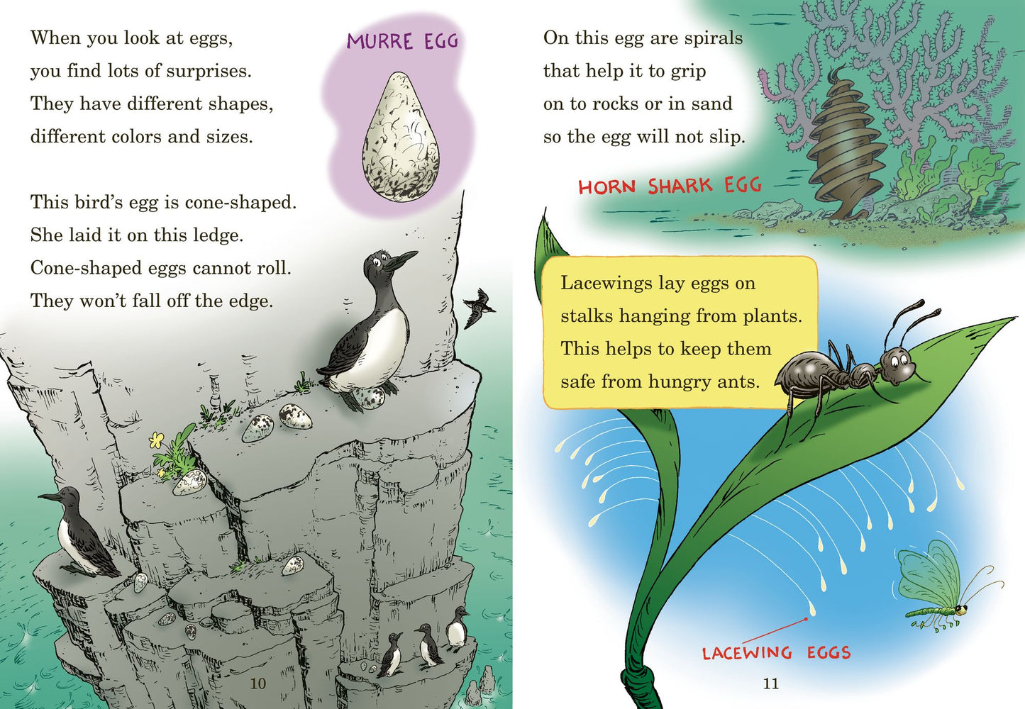 Who Hatches the Egg?: All About Eggs
