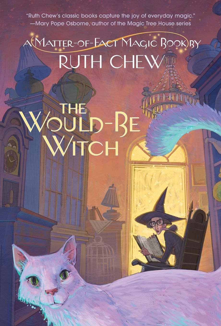 A Matter-Of-Fact Magic Book: The Would-Be Witch