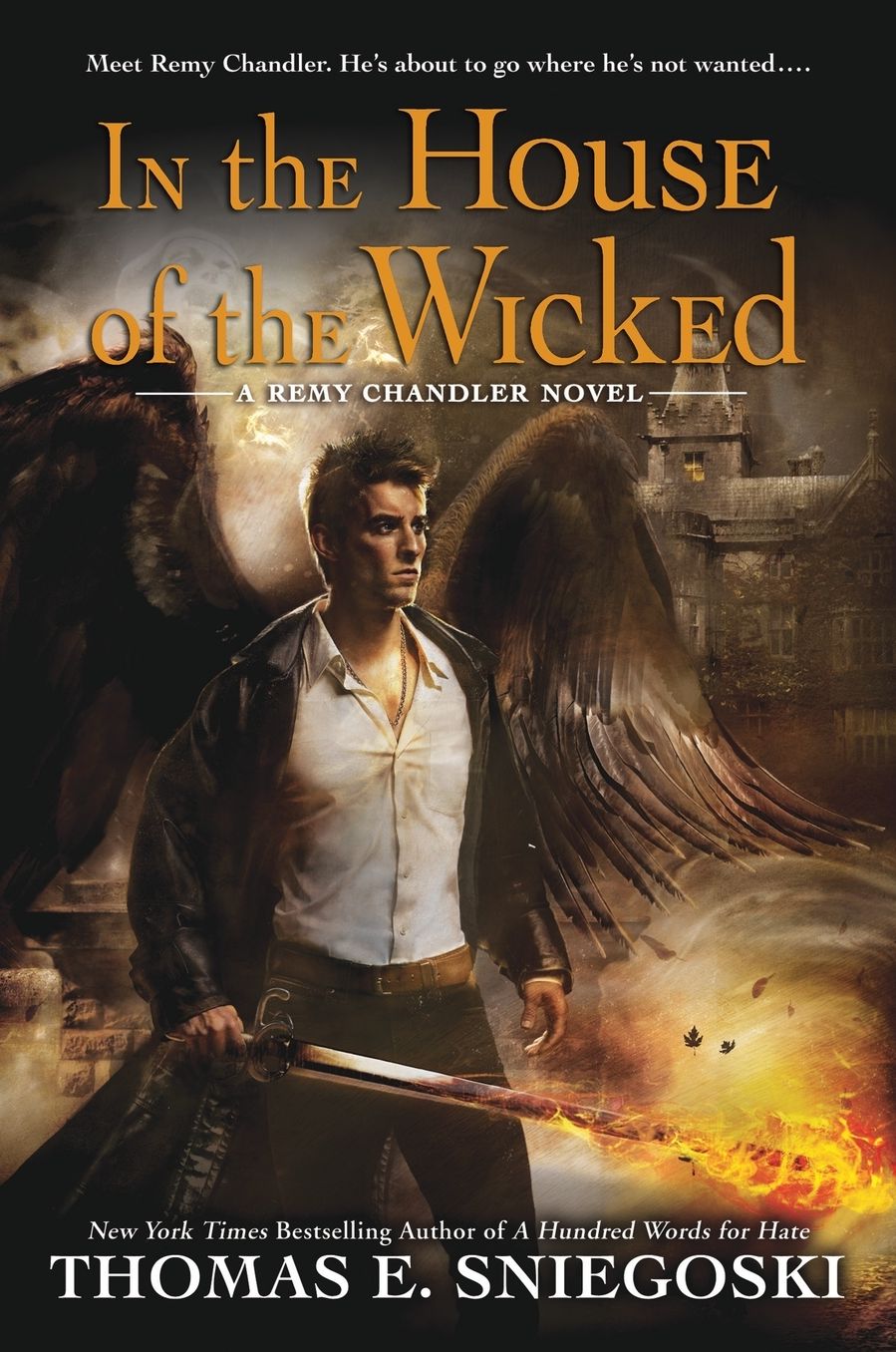 In the House of the Wicked (Remy Chandler Series #5)
