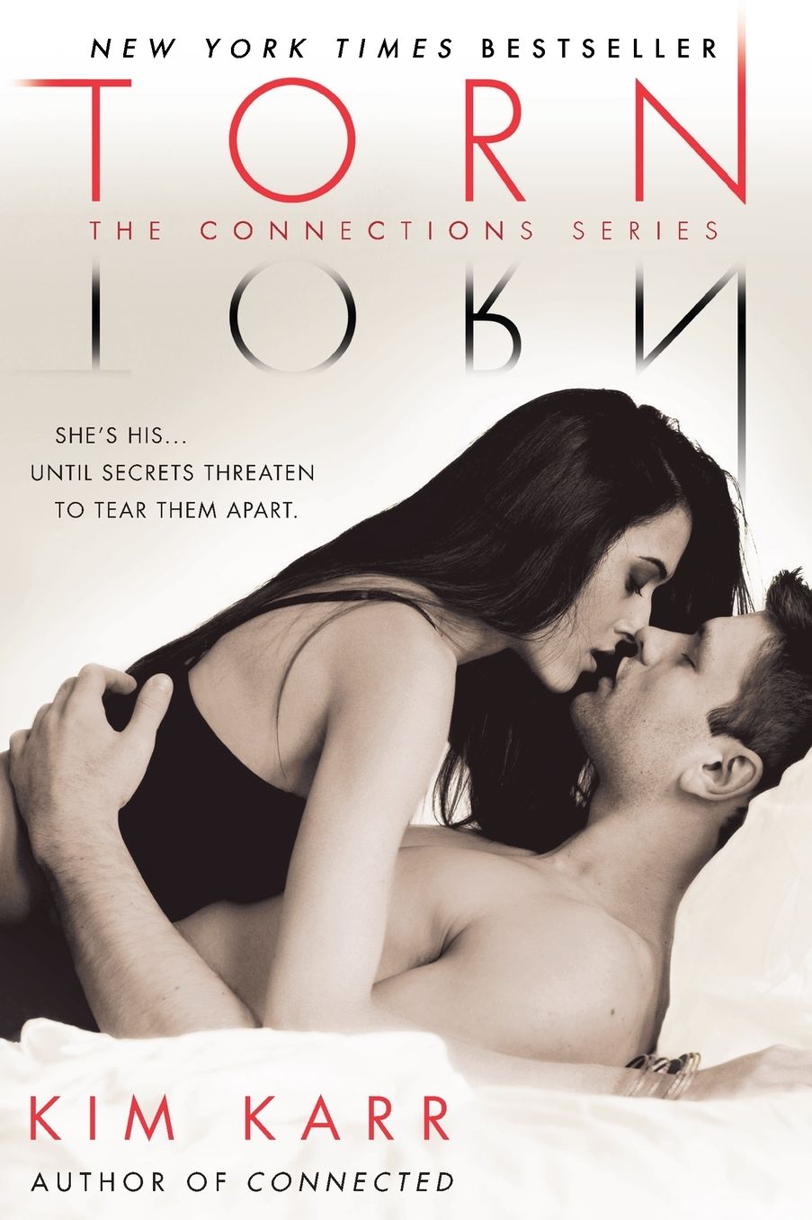 Torn (Connections Series #2)