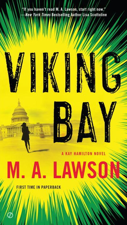 Viking Bay (Kay Hamilton Series #2)