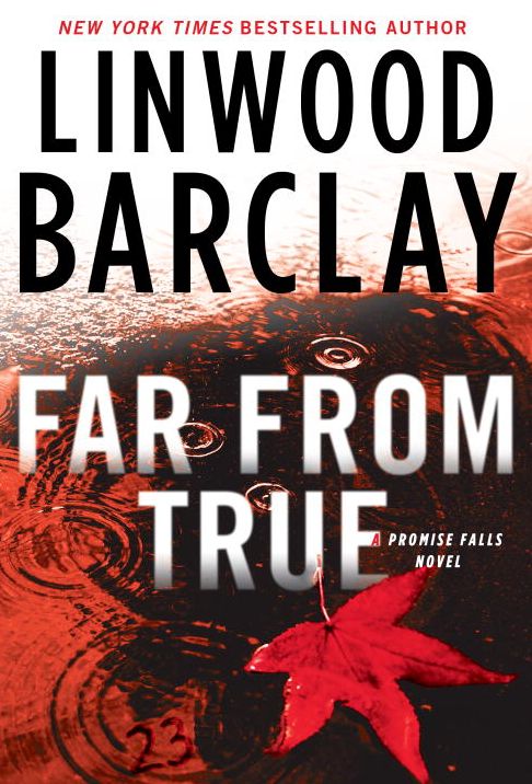 Far From True (Promise Falls Trilogy Series #2)