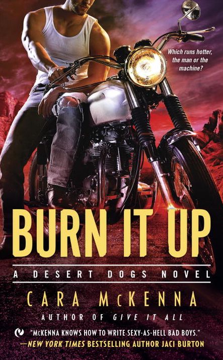 Burn It Up (Desert Dogs Series #3)