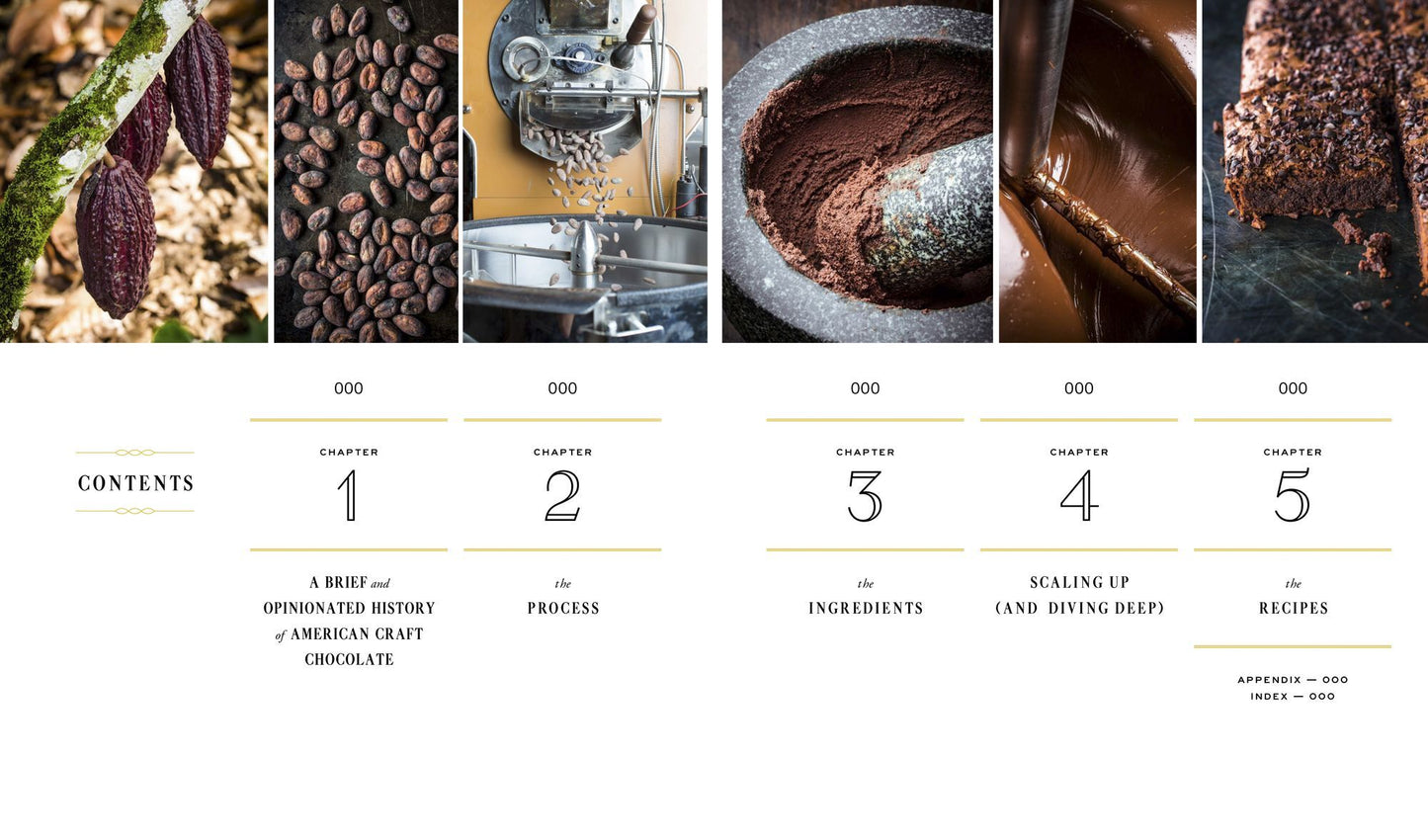 Making Chocolate: From Bean to Bar to S'more