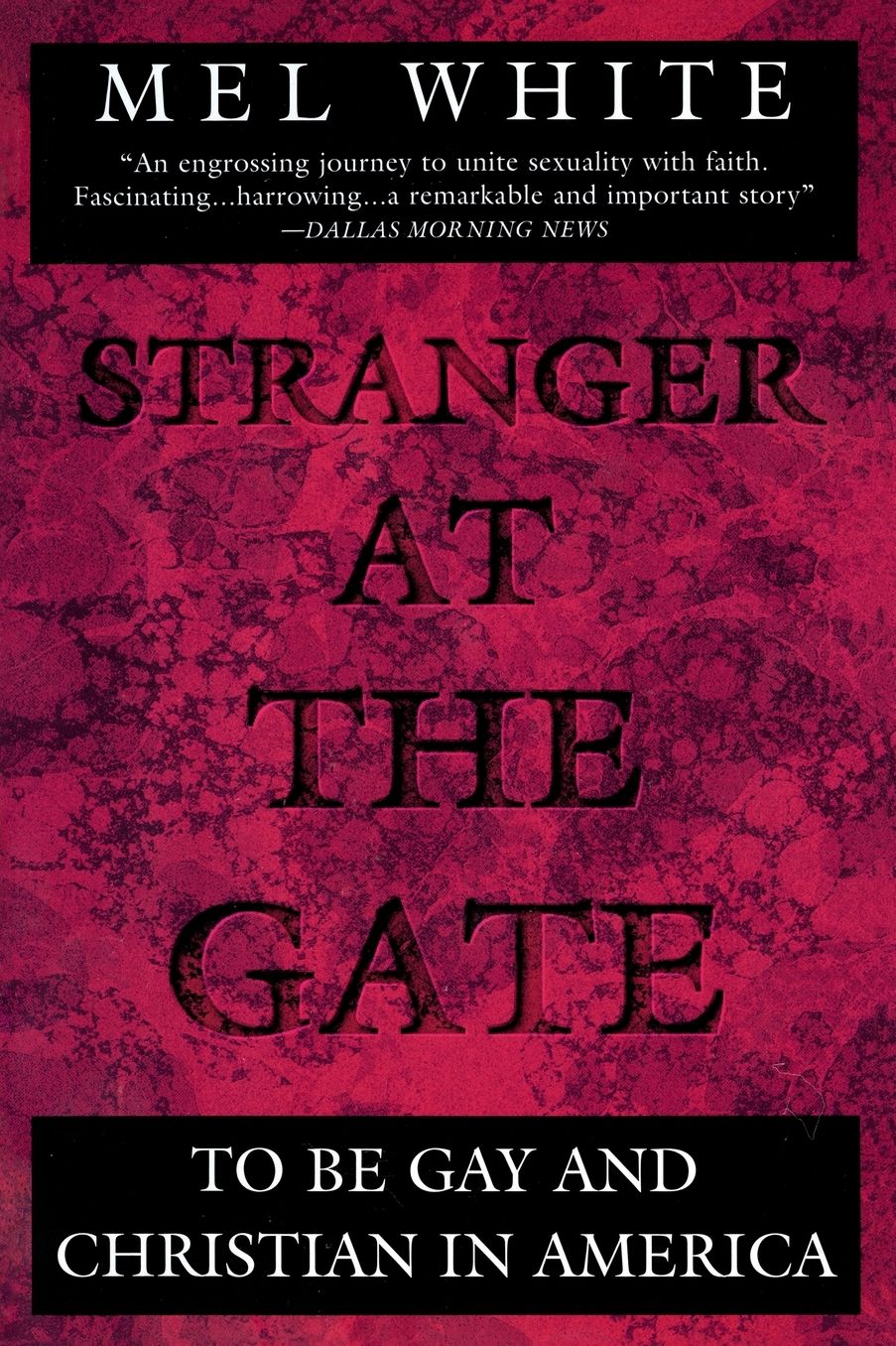 Stranger at the Gate: To Be Gay and Christian in America