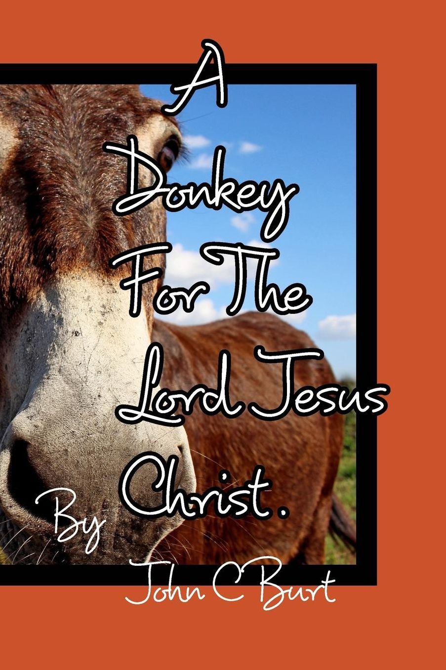 A Donkey For The Lord Jesus Christ.