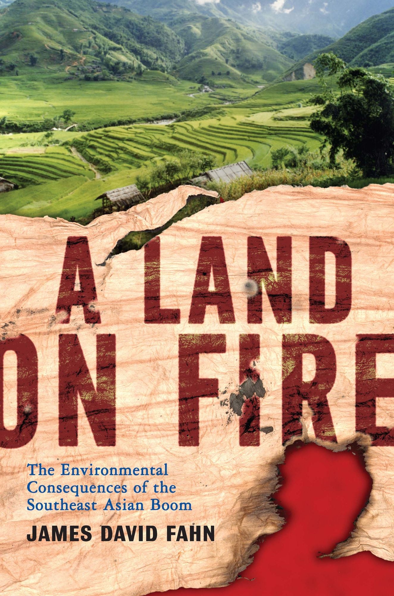 A Land on Fire: The Environmental Consequences of the Southeast Asian Boom