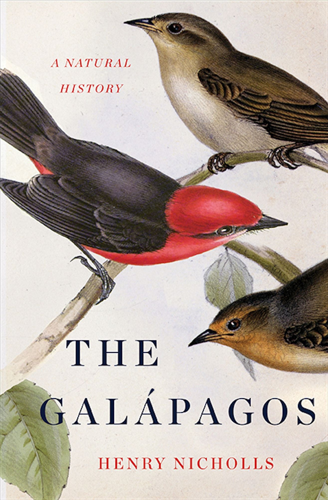 The Galapagos: A Natural History