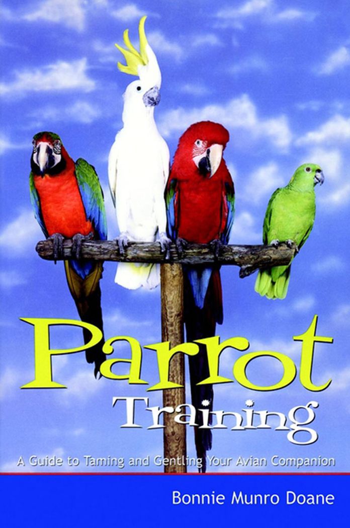 Parrot Training: A Guide to Taming and Gentling Your Avian Companion