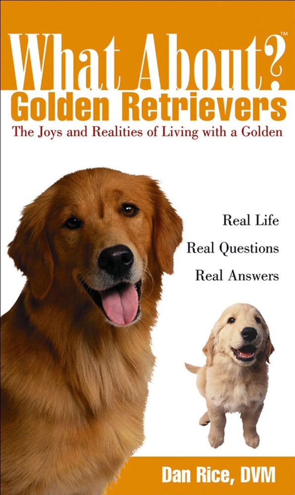 What About Golden Retrievers: The Joy and Realities of Living with a Golden