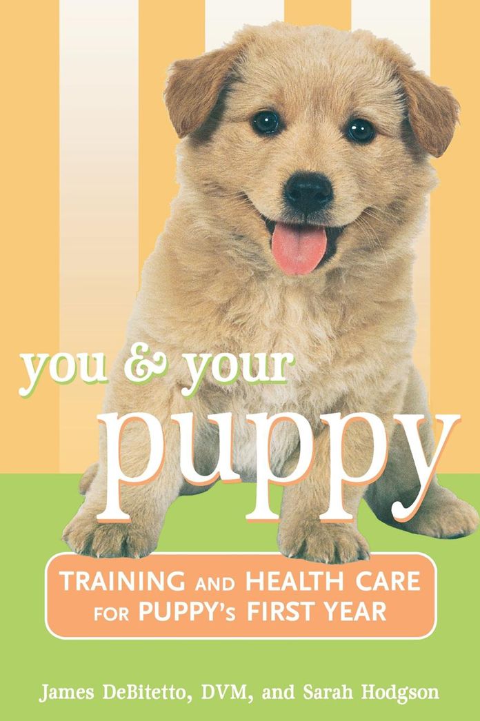 You and Your Puppy: Training and Health Care for Your Puppy's First Year
