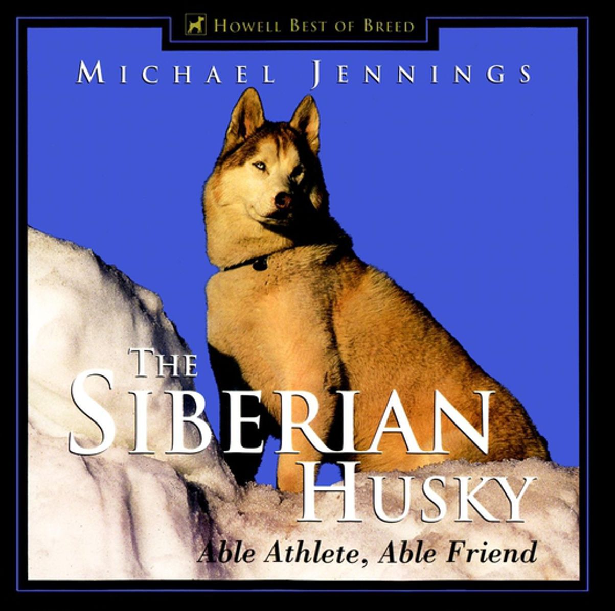 The Siberian Husky: Able Athlete, Able Friend