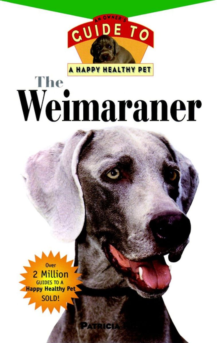 The Weimaraner: An Owner's Guide to a Happy Healthy Pet