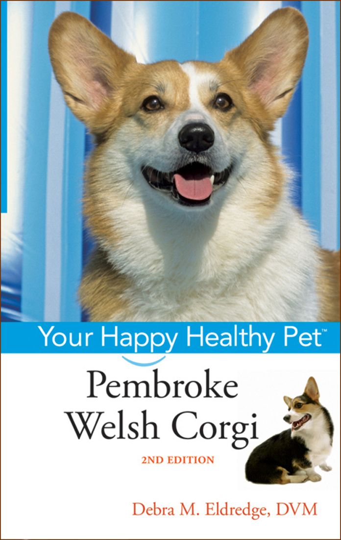 Pembroke Welsh Corgi: Your Happy Healthy Pet