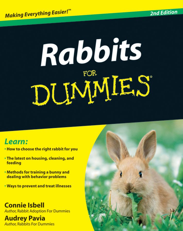 Rabbits For Dummies