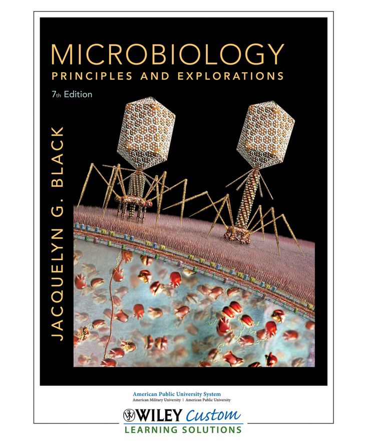 Microbiology: Principles and Explor. >CUSTOM<