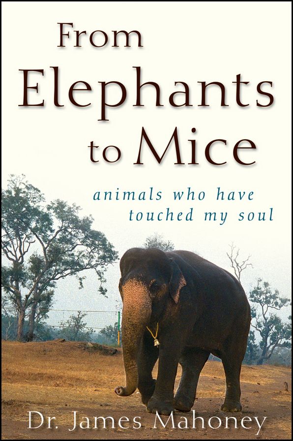 From Elephants to Mice: Animals Who Have Touched My Soul