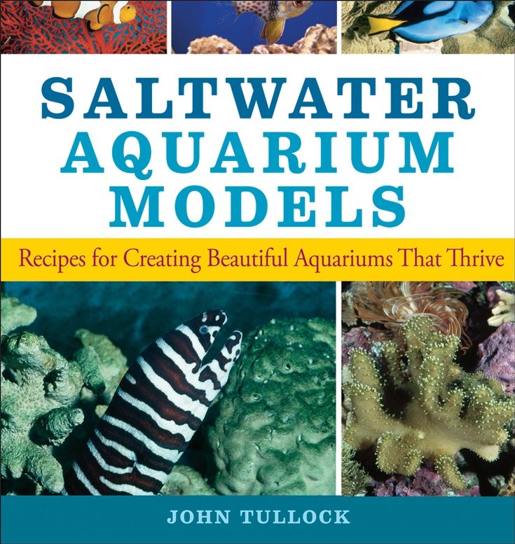 Saltwater Aquarium Models: Recipes for Creating Beautiful Aquariums That Thrive