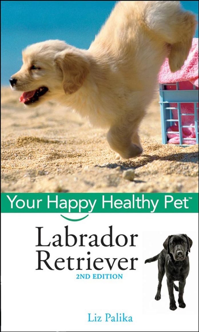 Labrador Retriever, with DVD: Your Happy Healthy Pet