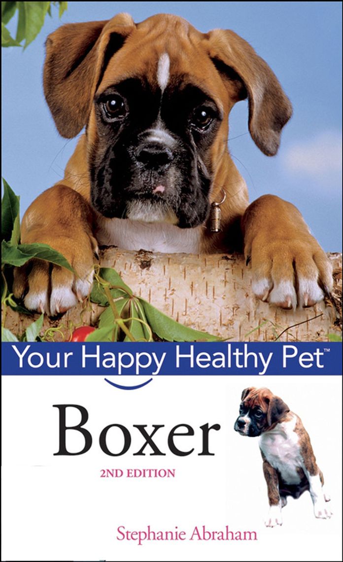 Boxer: Your Happy Healthy Pet