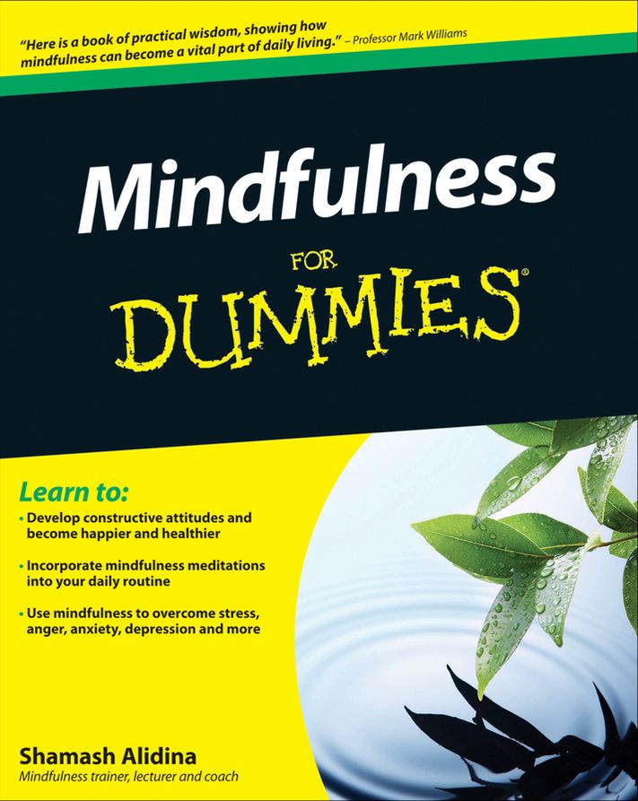 Mindfulness For Dummies