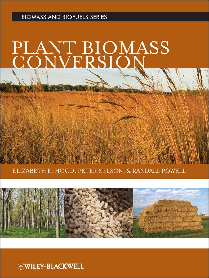 3.1 - Plant Biomass Conversion