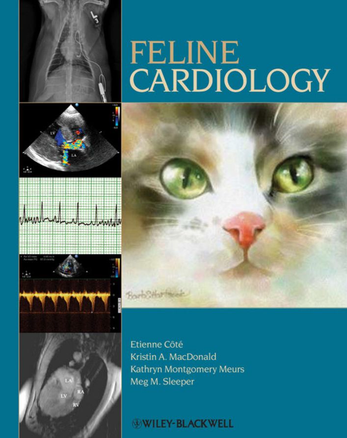 Feline Cardiology