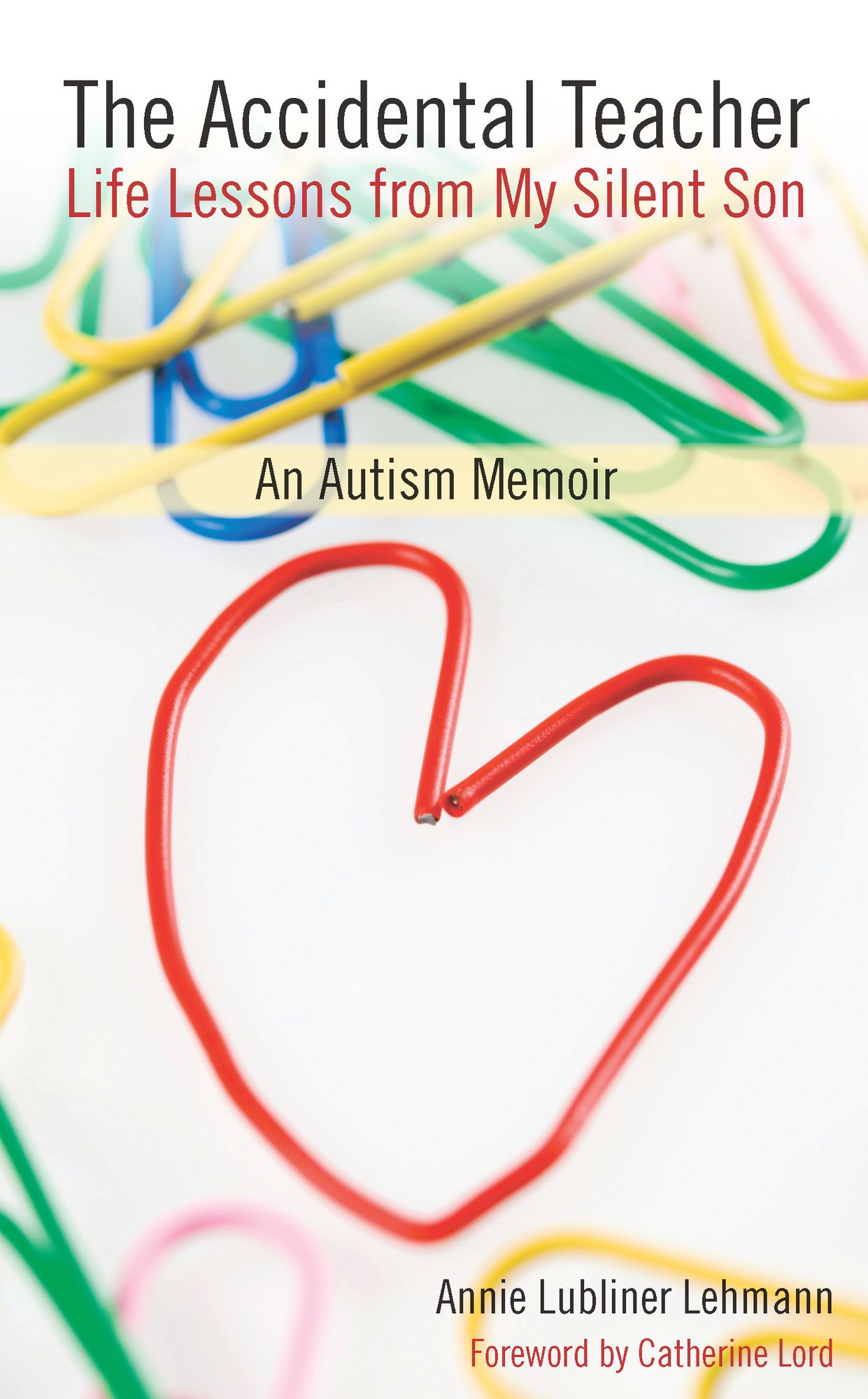 The Accidental Teacher: Life Lessons from My Silent Son