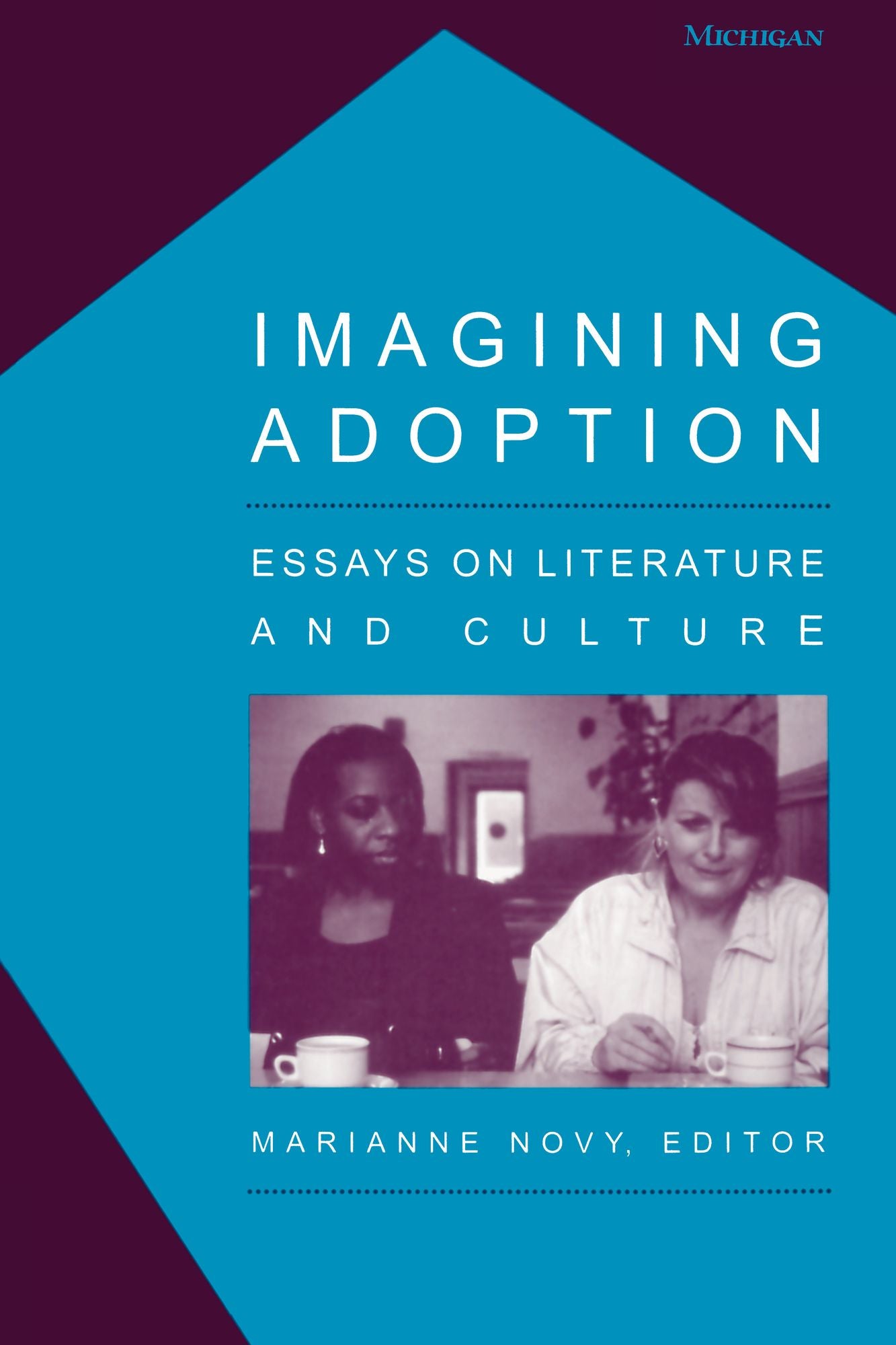 Imagining Adoption: Essays on Literature and Culture
