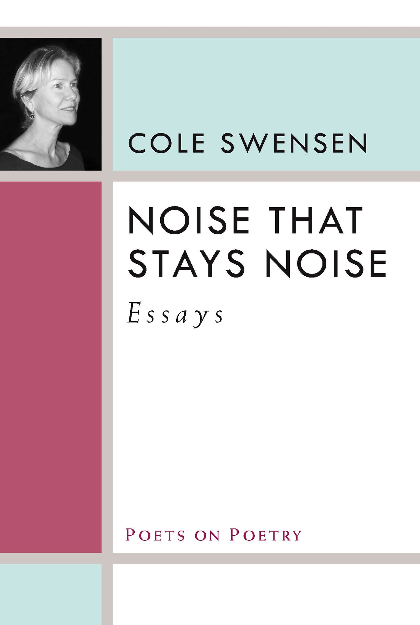 Noise That Stays Noise: Essays
