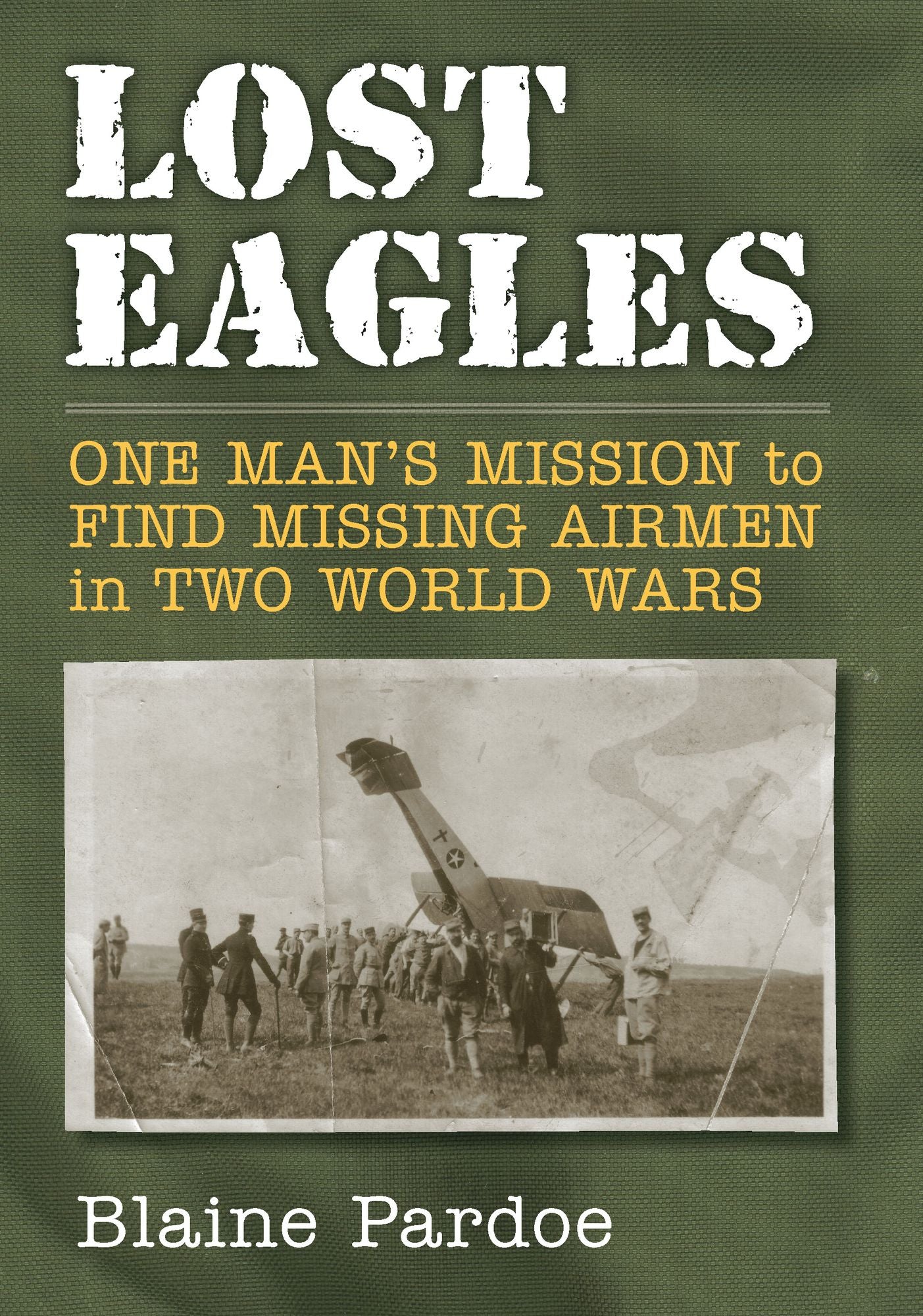 Lost Eagles: One Man's Mission to Find Missing Airmen in Two World Wars