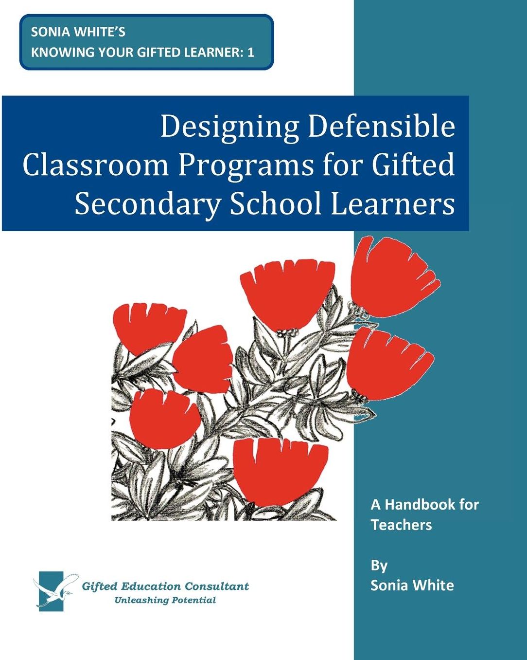 Designing Defensible Classroom Programs for Gifted Secondary School Learners: A Handbook for Teachers