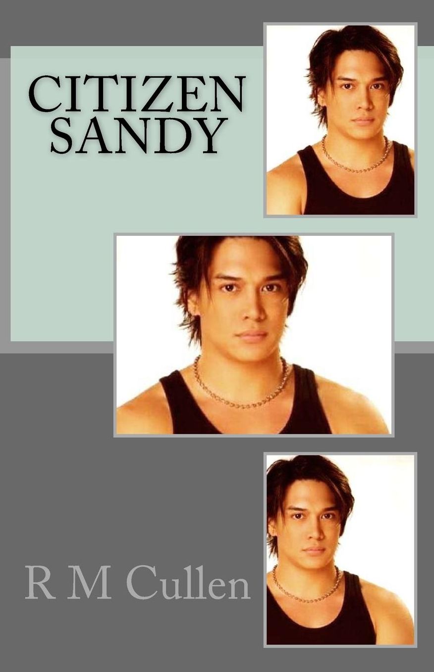 Citizen Sandy