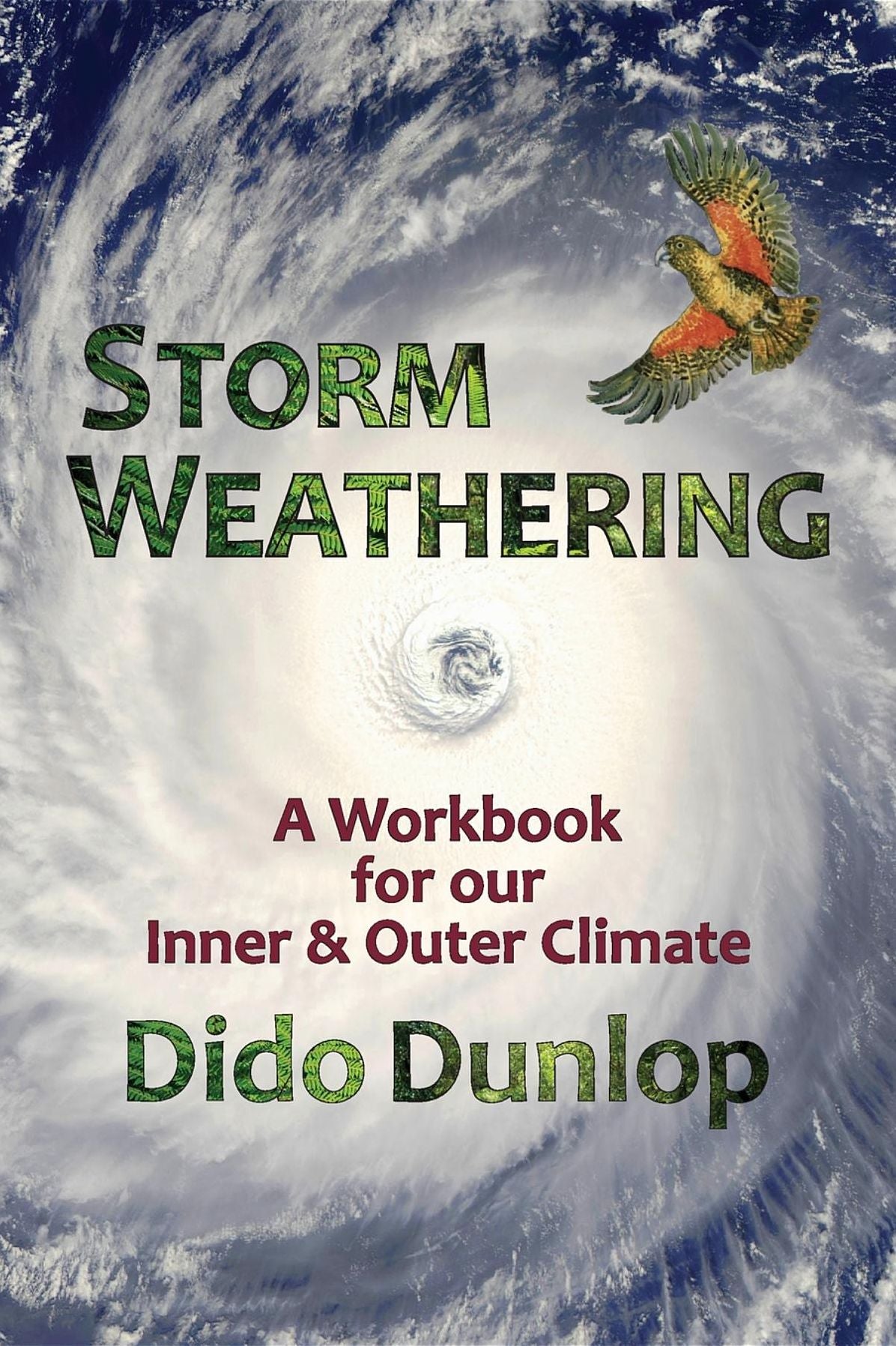 Storm Weathering: A Workbook for our Inner and Outer Climate