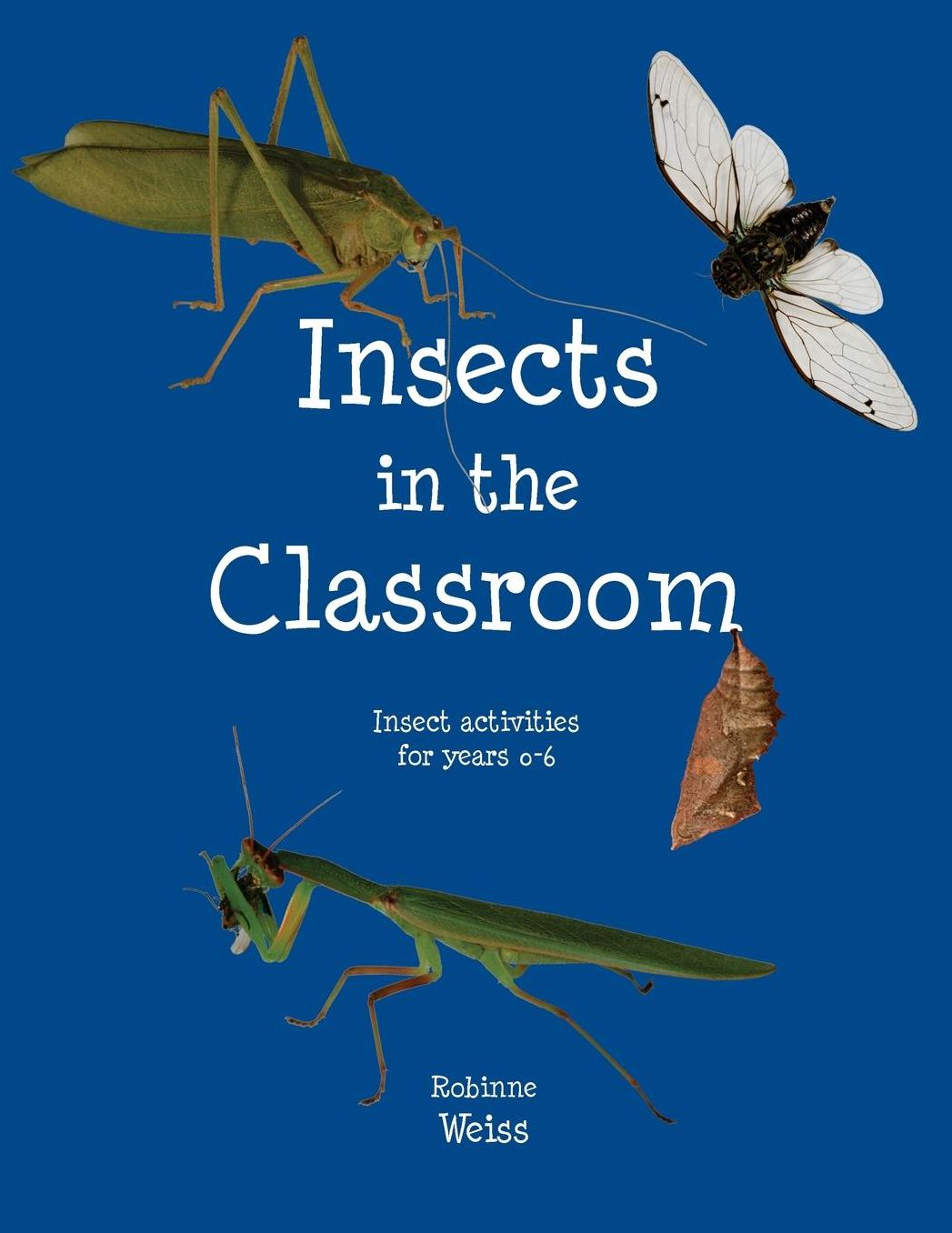 Insects in the Classroom: Drive your students buggy