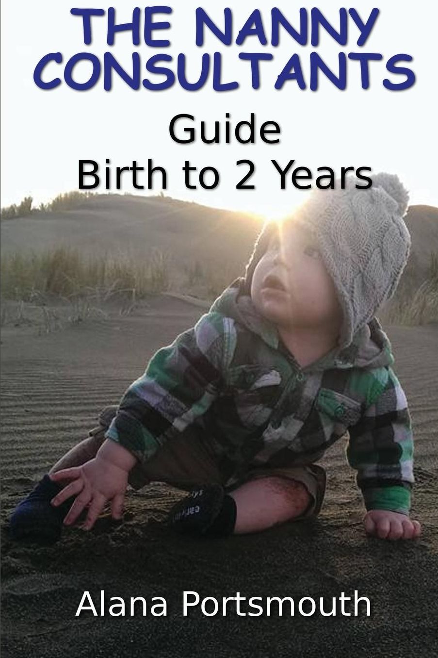 The Nanny Consultants Guide Birth to 2 Years