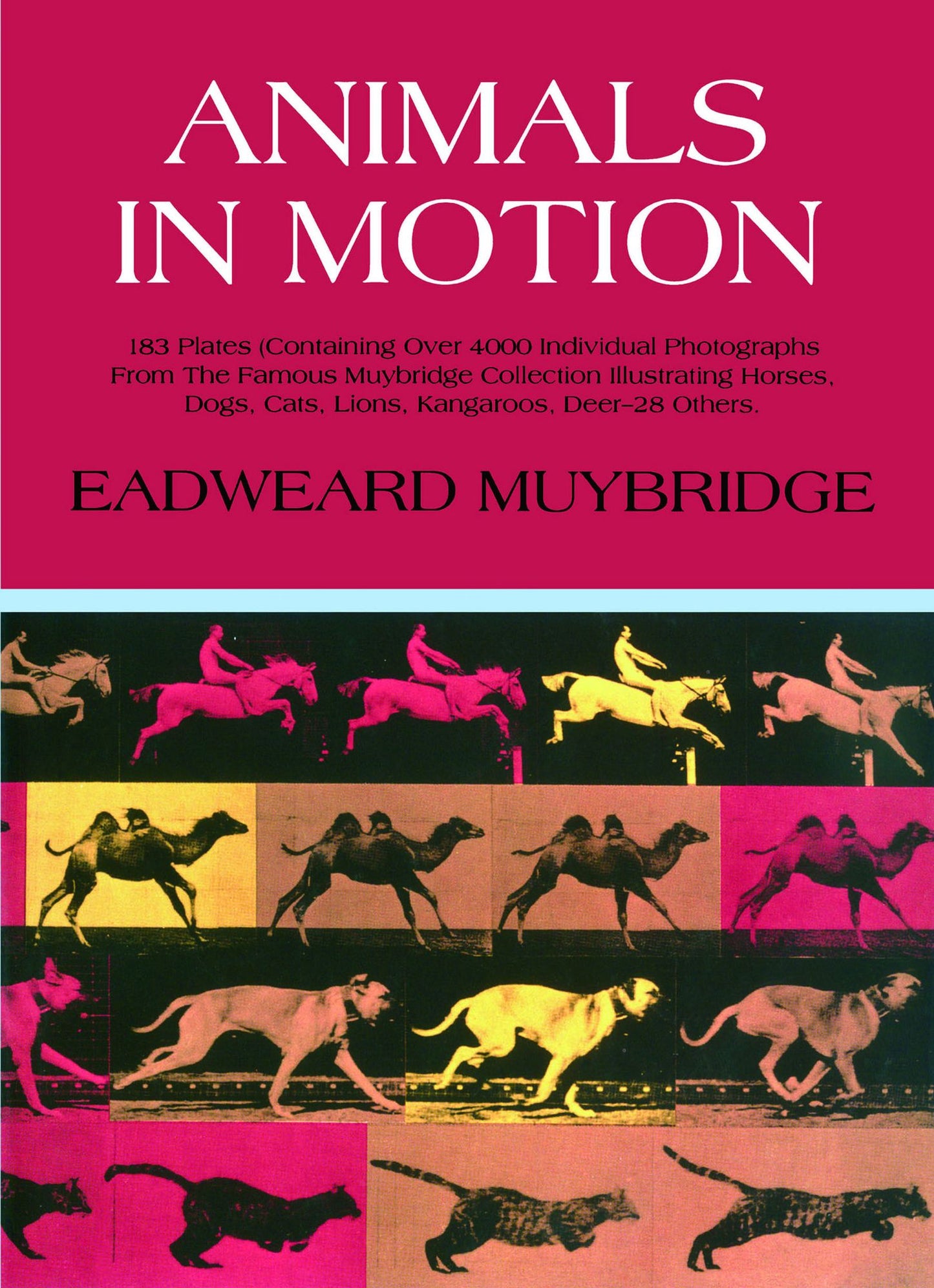 Animals in Motion