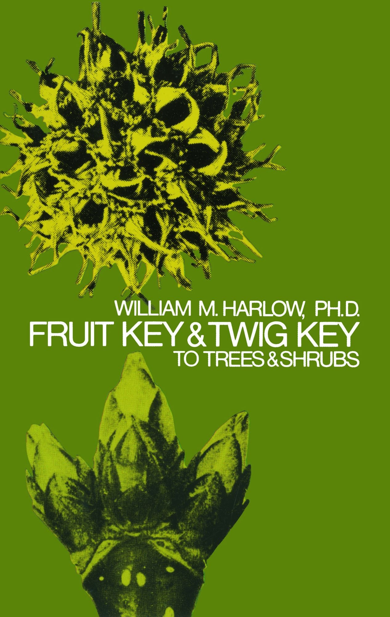Fruit Key and Twig Key to Trees and Shrubs