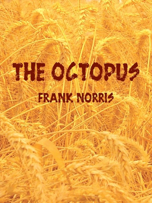 The Octopus