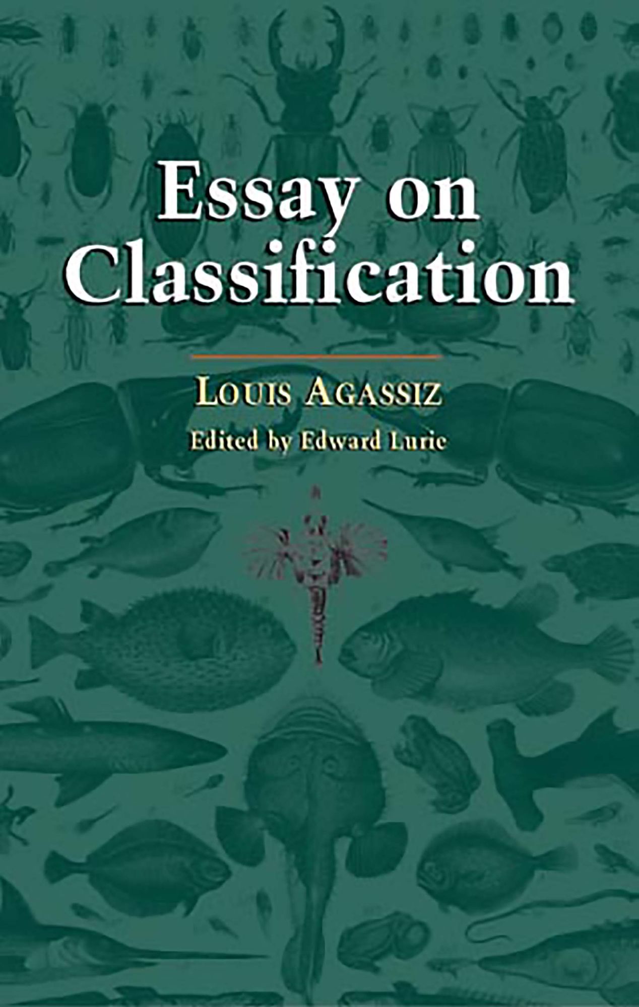 Essay on Classification