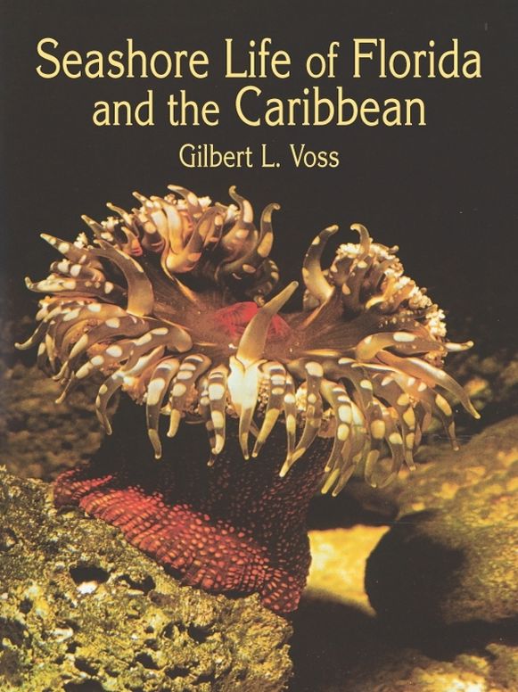 Seashore Life of Florida and the Caribbean