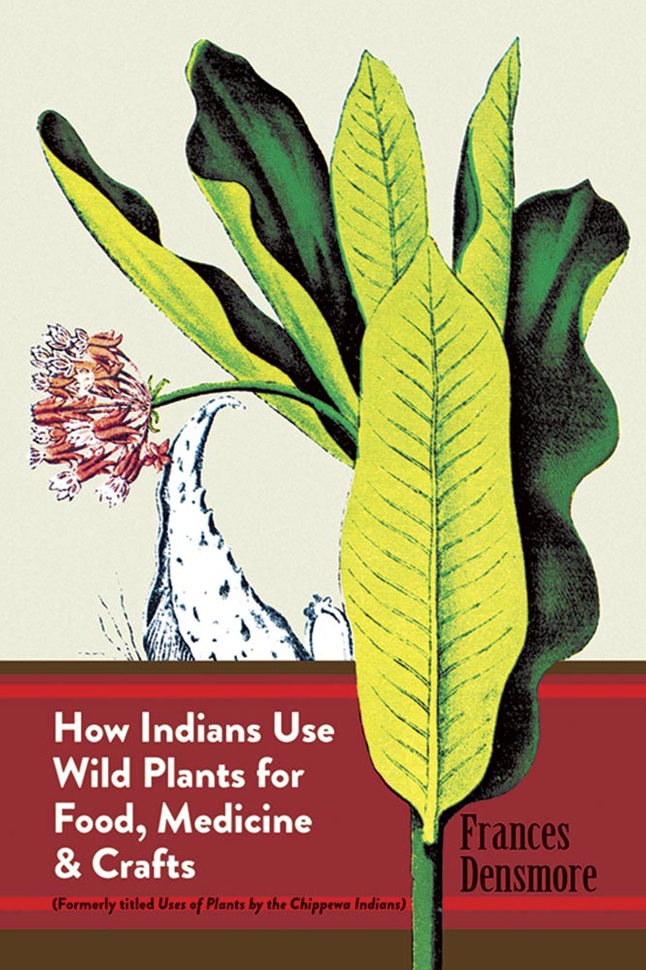 How Indians Use Wild Plants for Food, Medicine, and Crafts