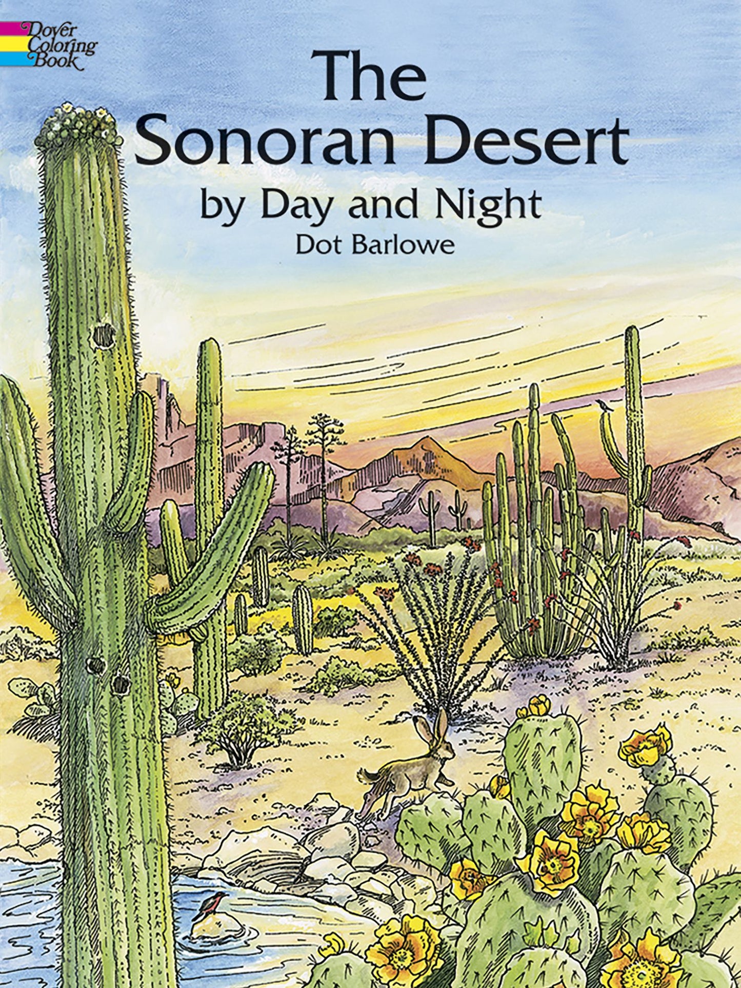 Sonoran Desert by Day and Night