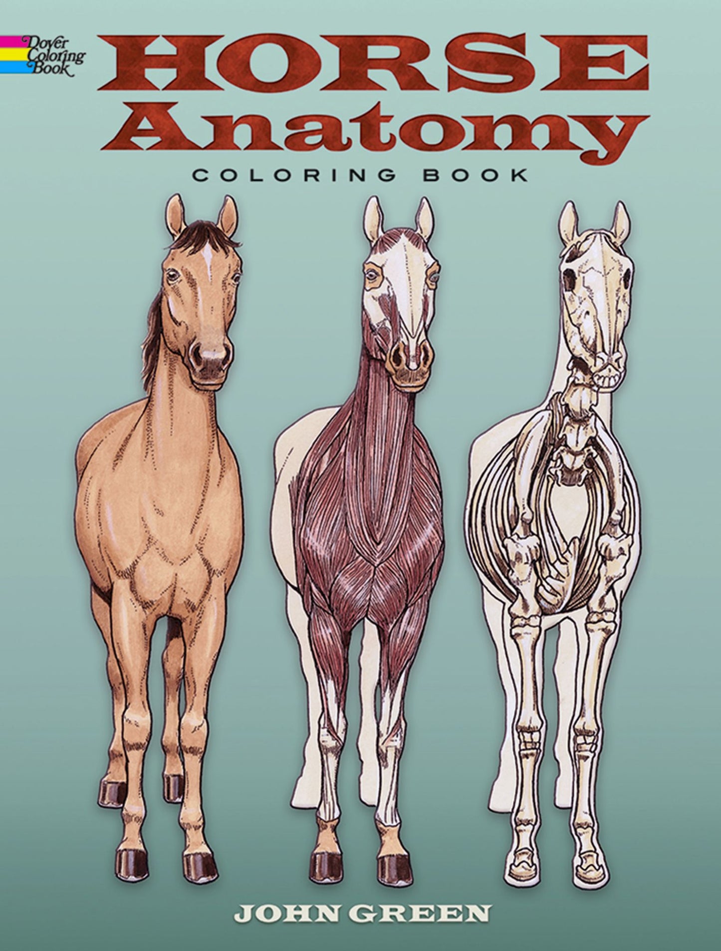 Horse Anatomy: Coloring Book