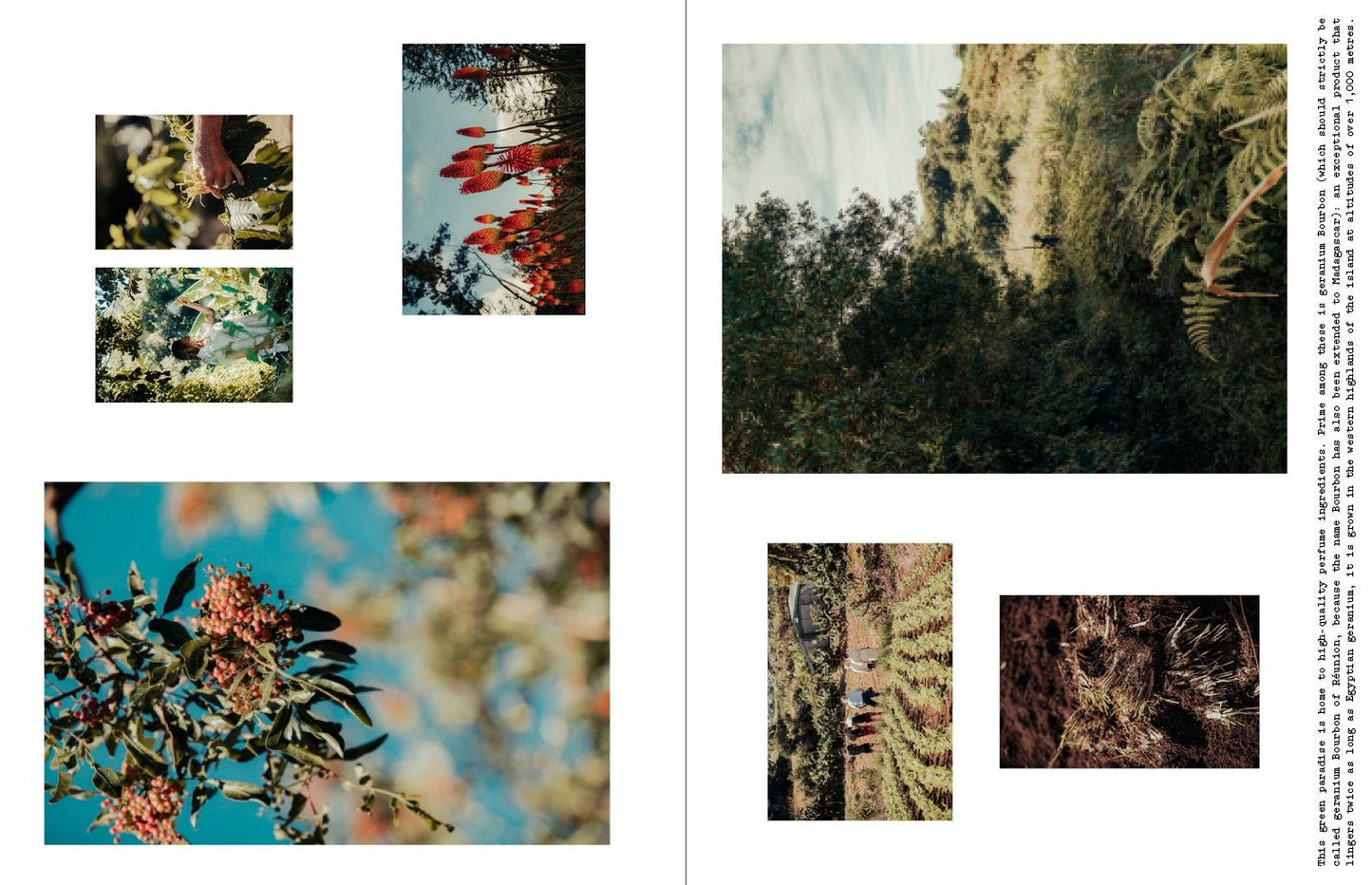 Louis Vuitton: A Perfume Atlas
