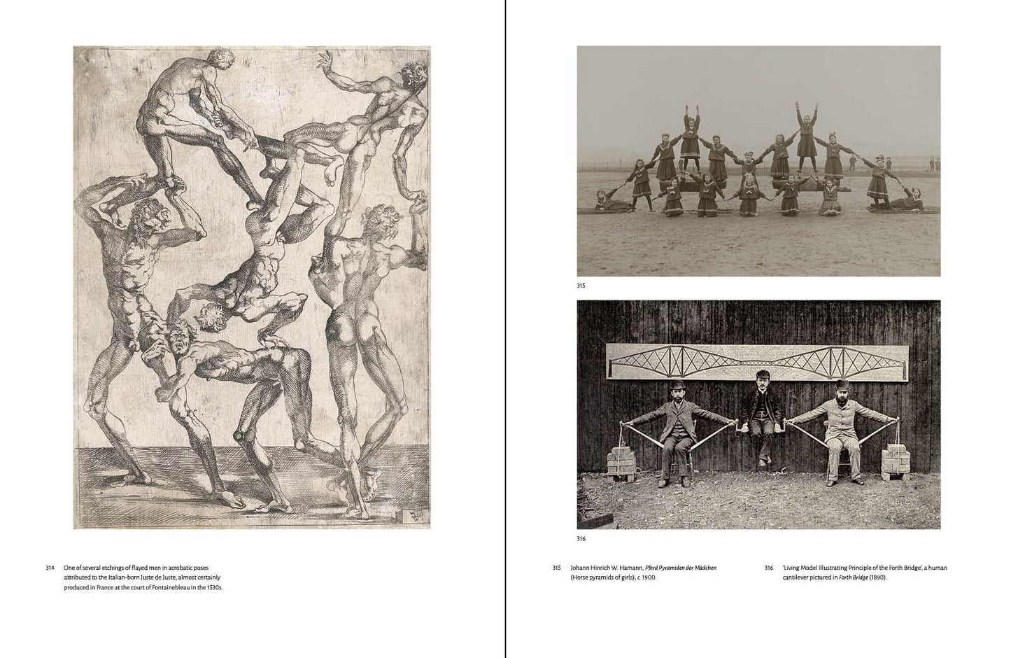 Affinities: A Journey Through Images from The Public Domain Review