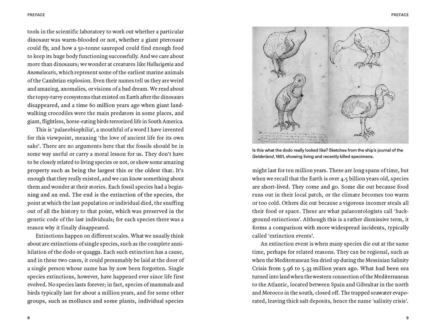 Extinctions: How Life Survives, Adapts and Evolves