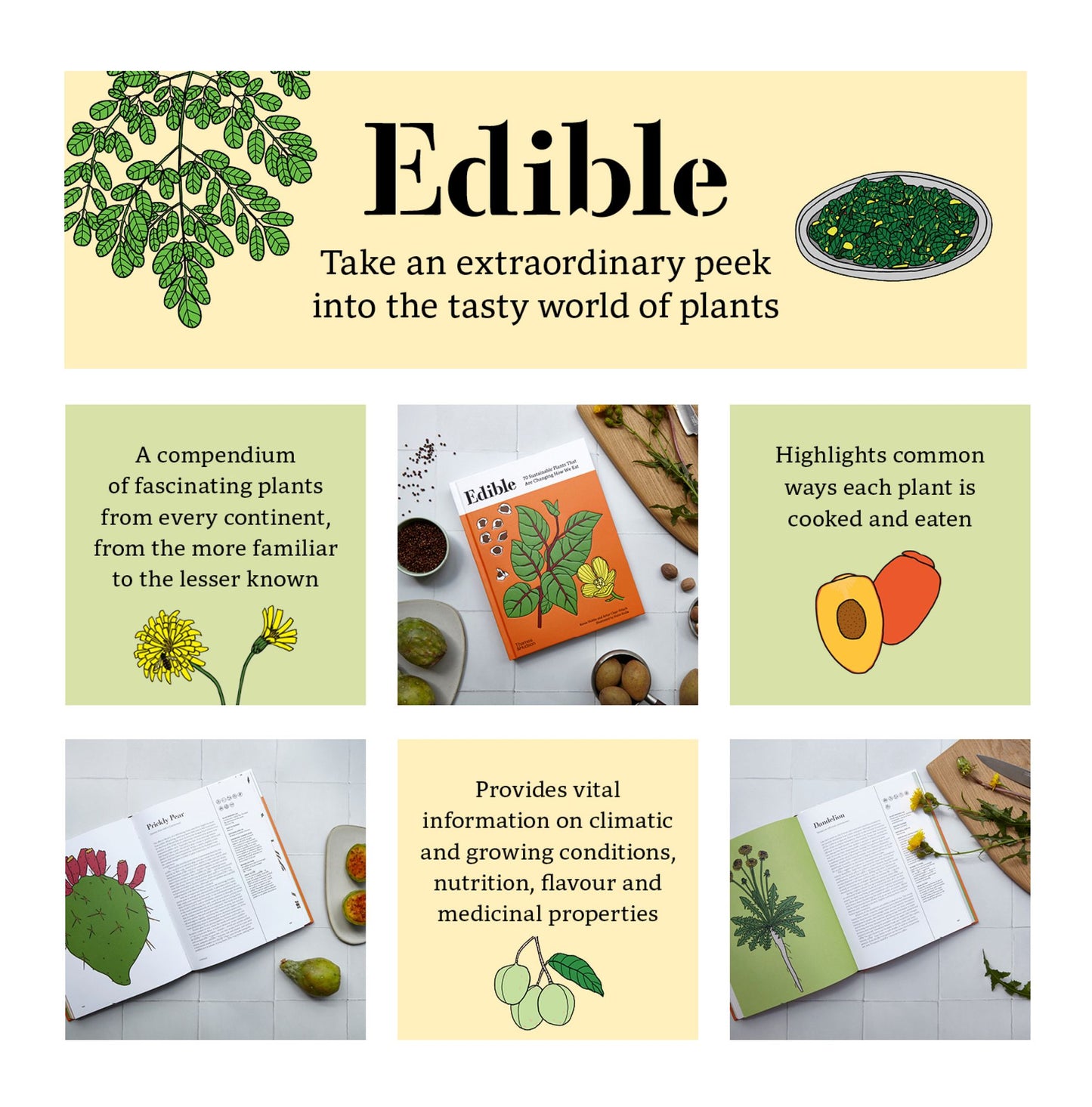 Edible: 70 Sustainable Plants That Are Changing How We Eat